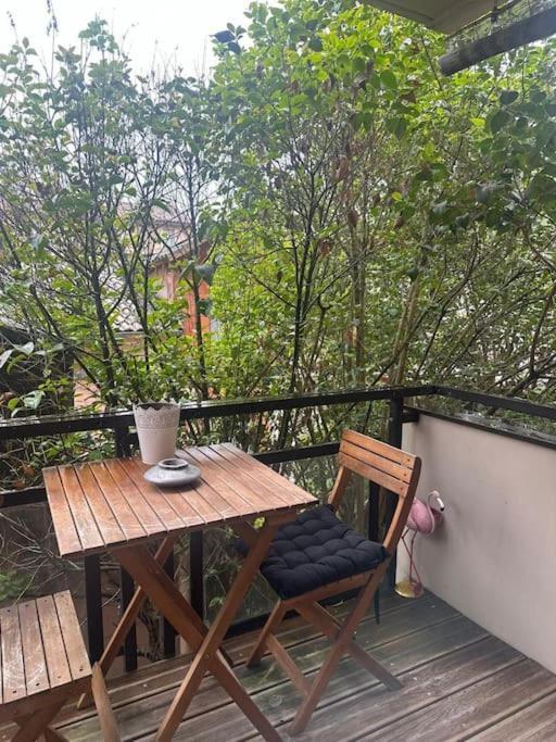 Apartamento Jardin Des Plantes Parking Securise Terrasse Et Ascenseur Toulouse Exterior foto
